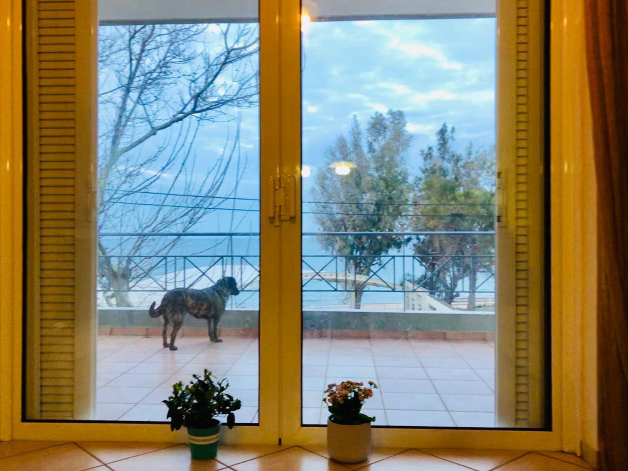 Willa Chloe'S Sunrise Beach House Ateny Zewnętrze zdjęcie